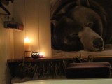 renardi-re-salle-massage-ours-brun-1025305
